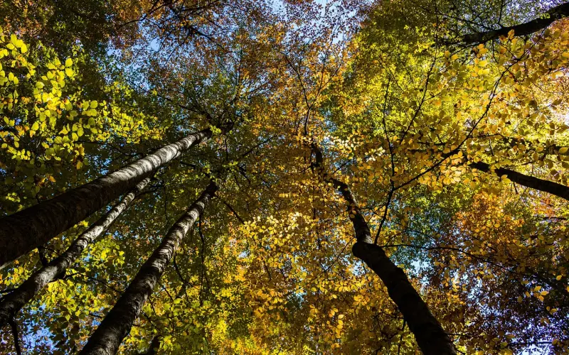 看透男人七大分手借口