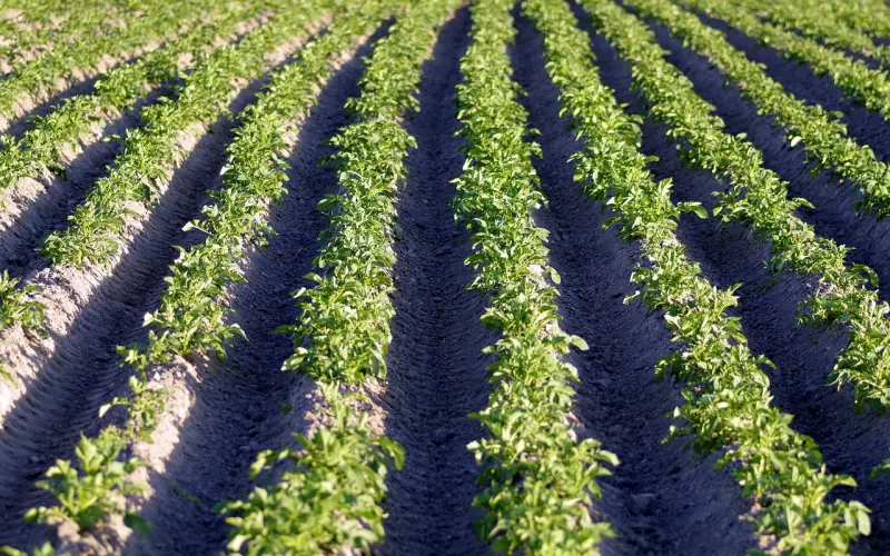 自我接纳，到底该怎么做？