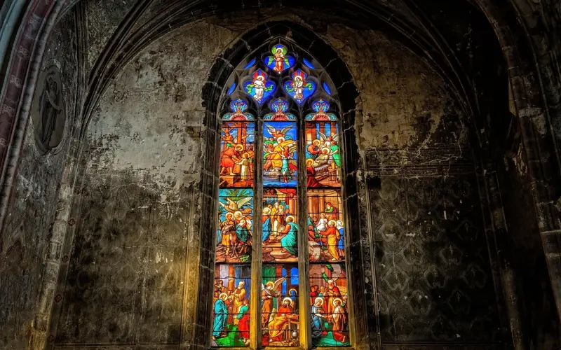 自我提升教会我：要好胜，更要好奇