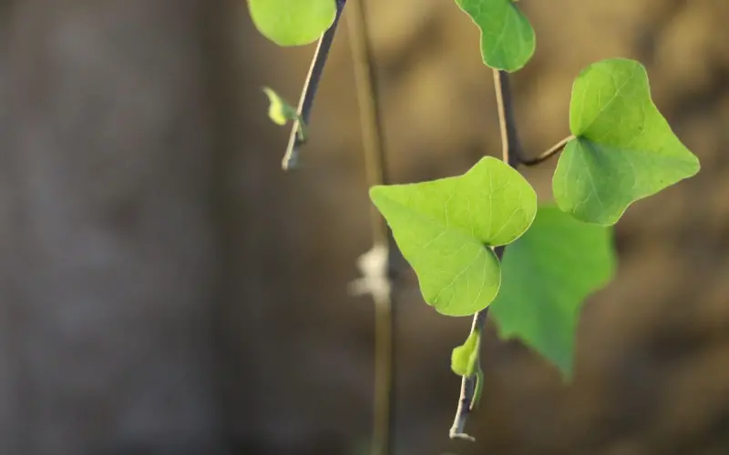 【七个细节看出男人爱你有多深】