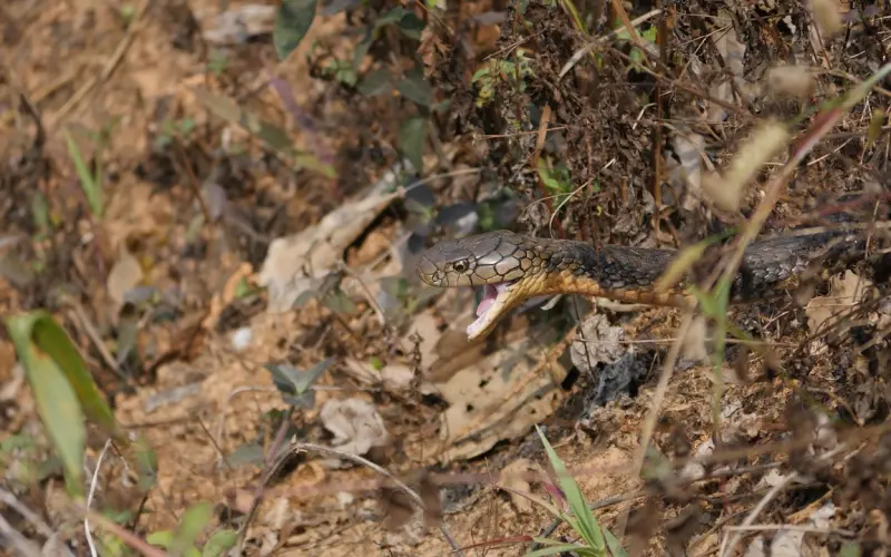 分手后的几个致命错误，想挽回就不要触犯！