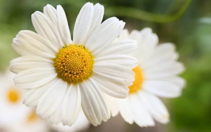 性|宽衣解带前才是最完美的性爱