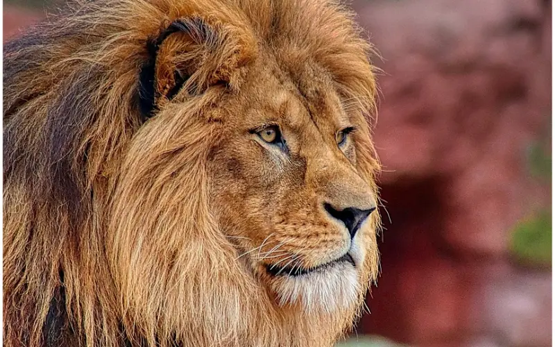 性|比车震更让她销魂的性爱方式