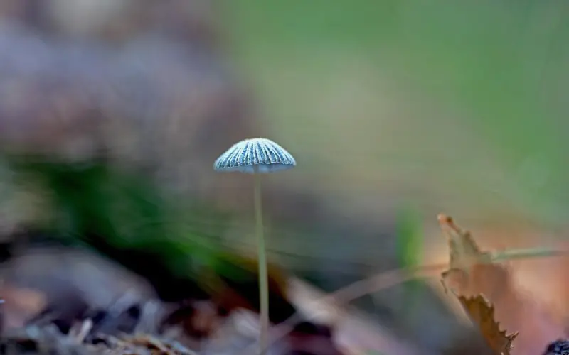 女生性暗示：女生的这些行为，带有“求偶”的暗示