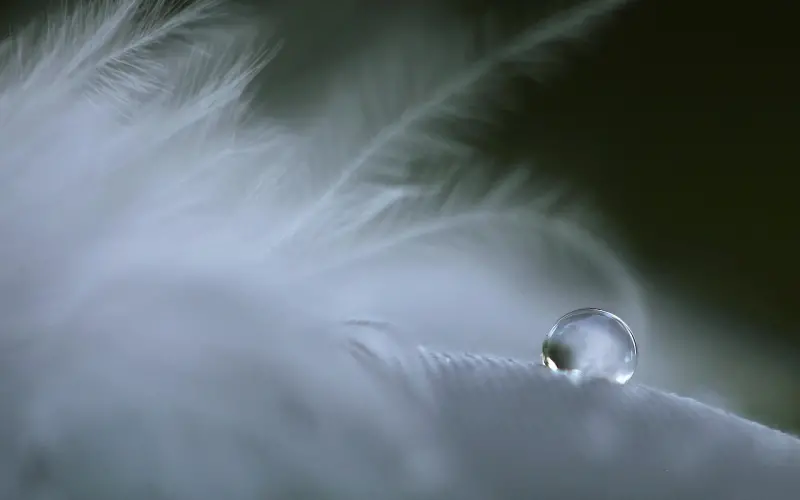 分享一些恋爱过程中最开心的事情！要甜哭了！