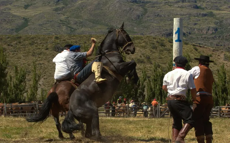 泰国佛教师傅分享之-龙普Su Pa