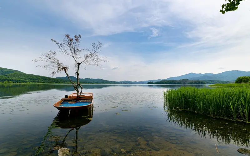泰国佛教师傅分享之-龙婆平那