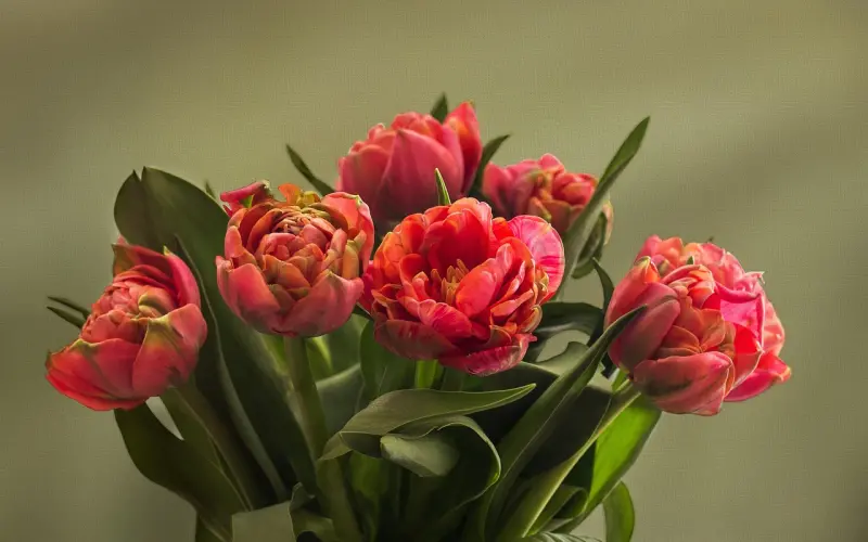 初恋十年该不该挽回还是结束