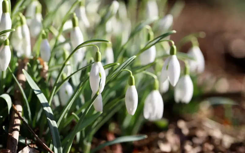 男朋友想分手的前兆