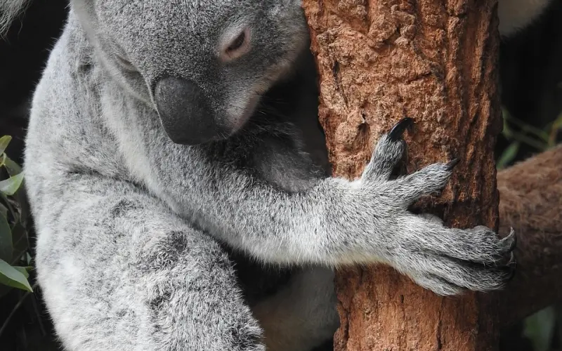 父母辈的简单爱情：婚姻，就是有个人陪伴就行