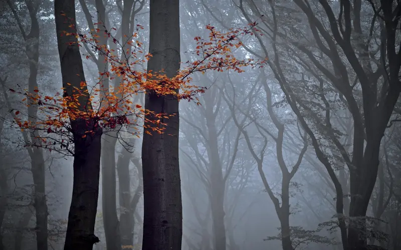 月亮姐姐告诉你，女人最爱男人身上的哪几种特质