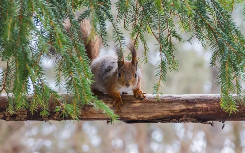 老公出轨的六个原因