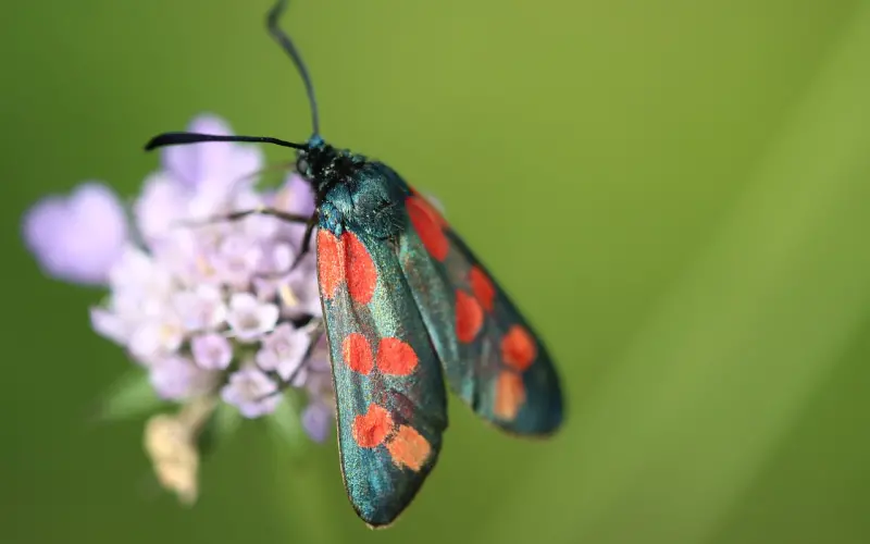 女人早已变心的六个征兆，你不要傻傻的自作多情！
