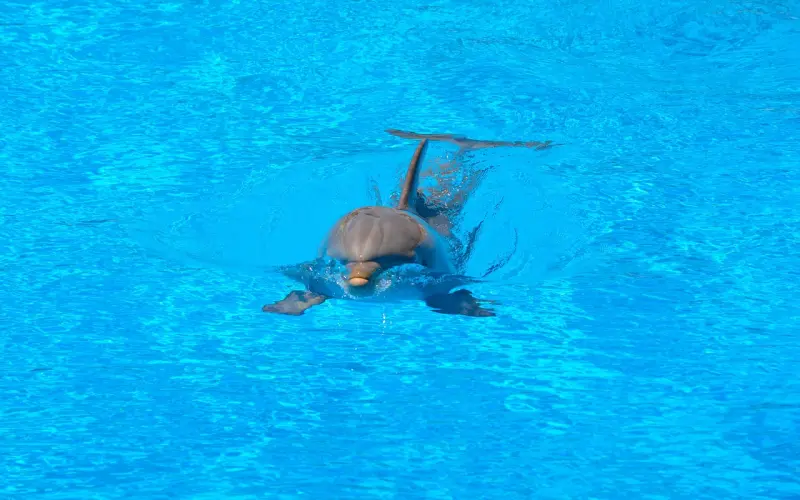 聪明女人，你拿什么让男人钟爱一生？