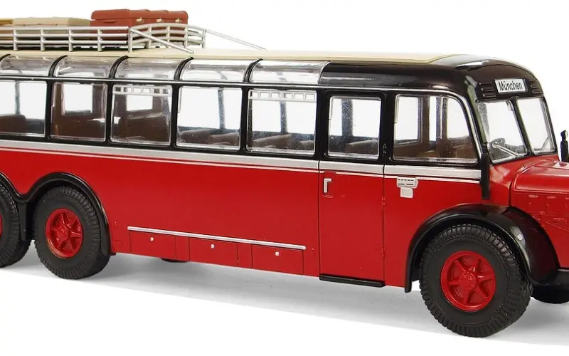 太治愈了！看完心情好了10000倍！