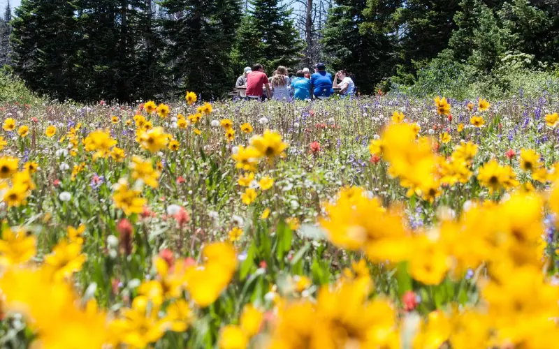 社交压力——缓解社交压力以及社交焦虑的方法