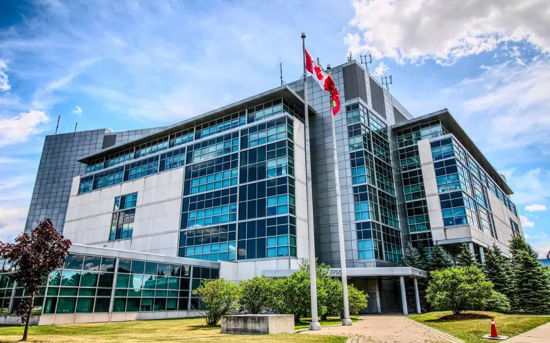 关于爱情的几个建言