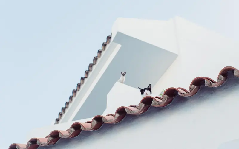 有些人走着走着就散了，有些事看着看着就淡了