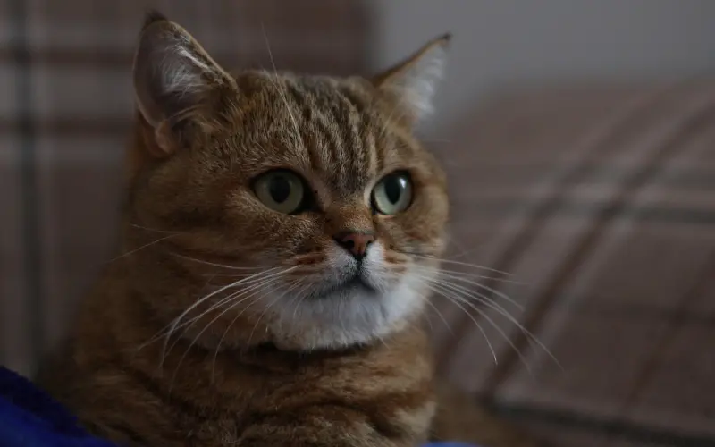 总有人骚扰我喜欢的女生，我应该怎么做