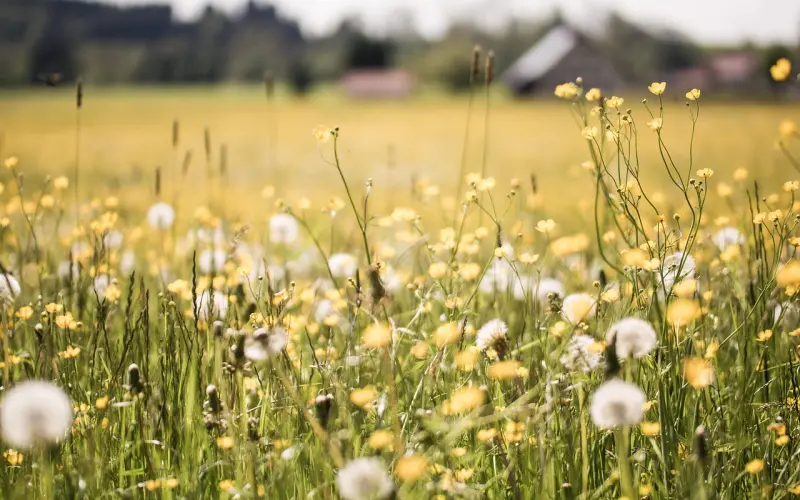 对不起，谁都没有时光机器，请你从此刻开始珍惜（深度美文）