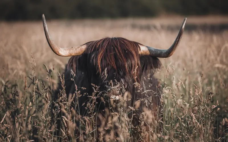 余生，找个知你心的人一起过！