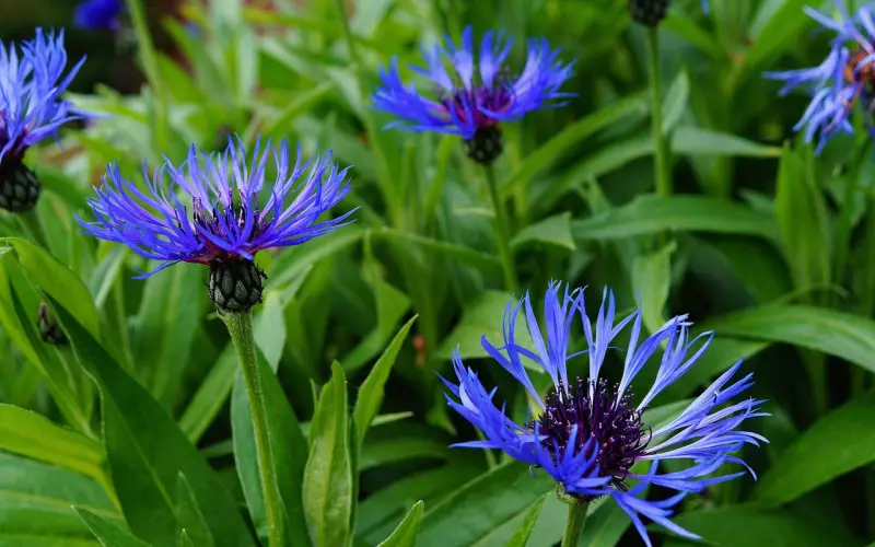 还爱着她？想要挽回她？那你需要懂得她的心！