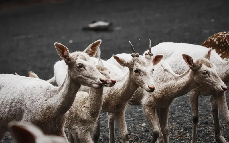 还在讨好？这样聊天，让女生主动倒追你