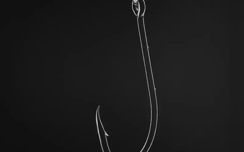 别在朋友圈钓鱼约假炮了。