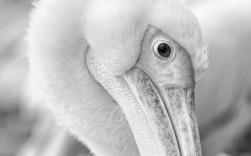 少在我背后谈论我，闭上你那欠扁的嘴。