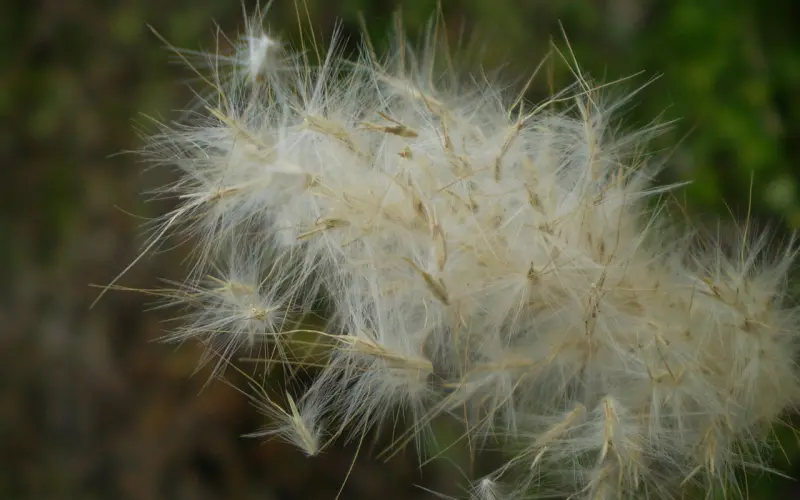 别扯了，这才是出轨的真相