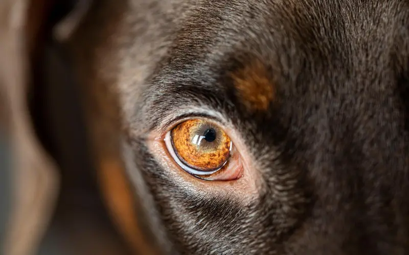 挽回男友策略，教你挽回分手男友最好的方法