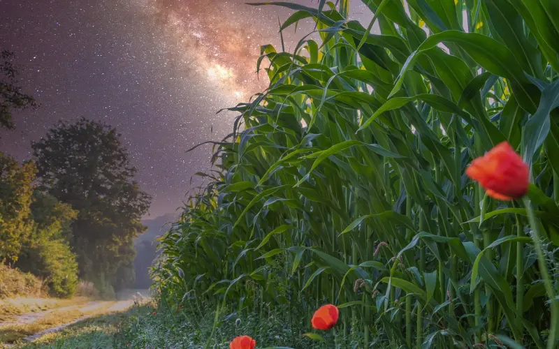 挽回老公攻略，老公提出离婚怎么处理，挽回老公正确的方法