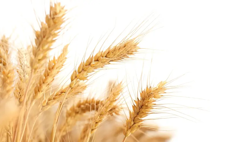 分离小三攻略：小三想要上位，如何保卫婚姻挽回老公