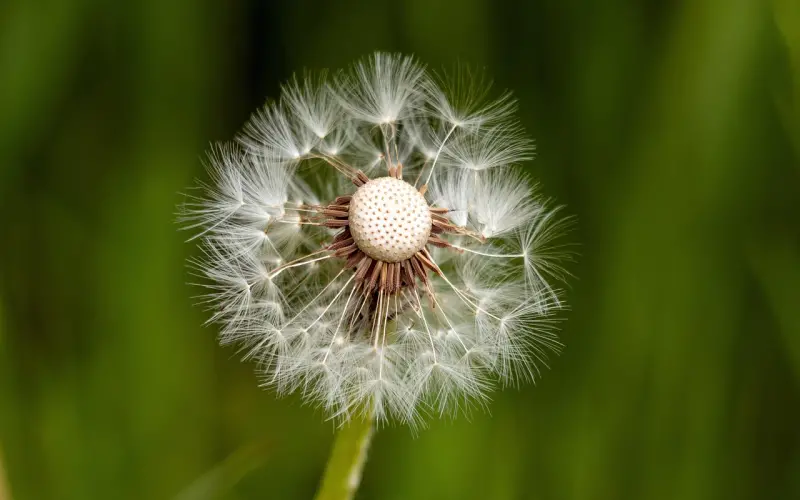 挽回前任攻略之女生为什么会跟男生说分手