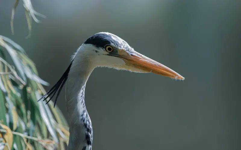 挽回攻略：挽回男朋友先从朋友做起