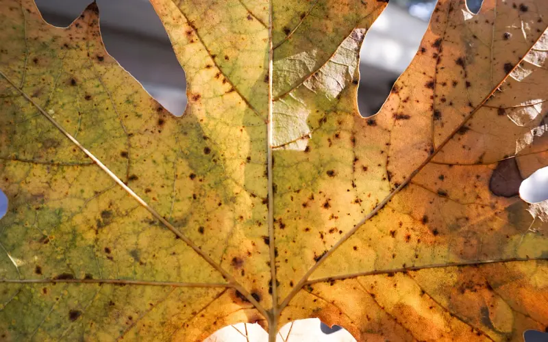 【学员实战 】我们不做PUA，我们要做的是男神