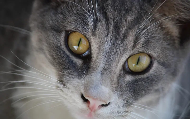 挽回老公的成功套路：女人想要挽回幸福必须要掌握着三大技巧