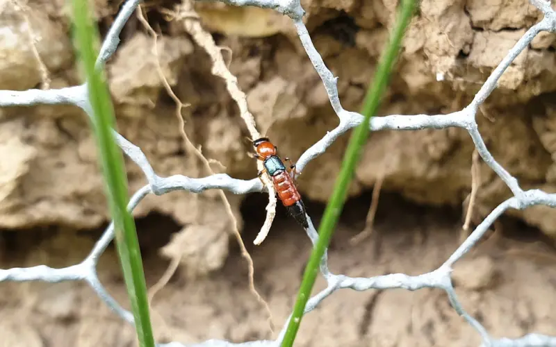 适合发朋友圈的说说心情短语，哪一句触动你！