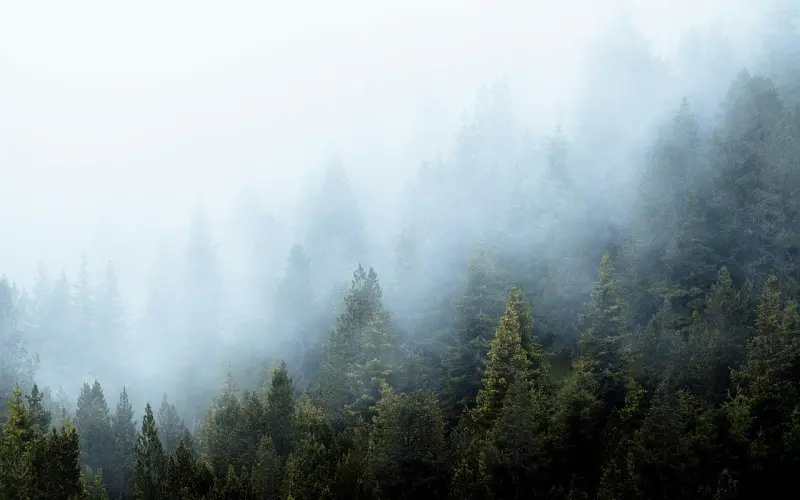 挽回婚姻的密集技巧总结