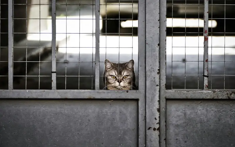 挽回技巧小结，你也可以这样轻松挽回