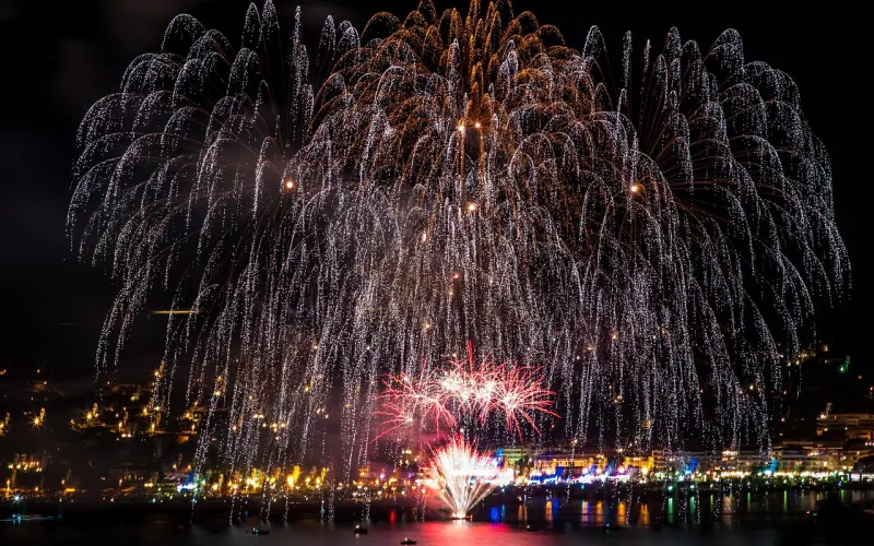 泰正佛堂-10月14日龙婆瑞雄鸡法蜡