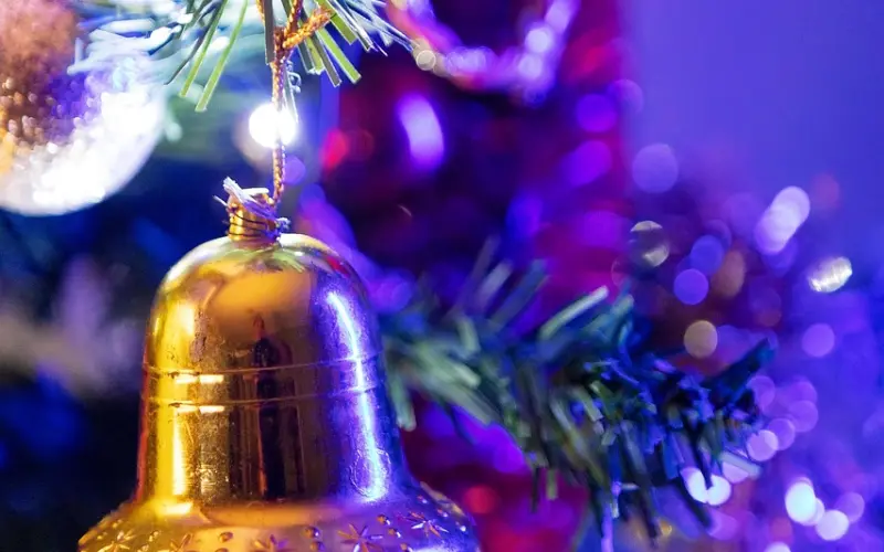 泰正佛堂-9月25日皇家寺庙补财库法事