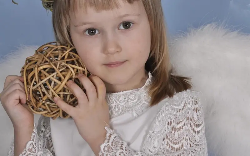 泰正佛堂-11月14日雄鸡法蜡法会