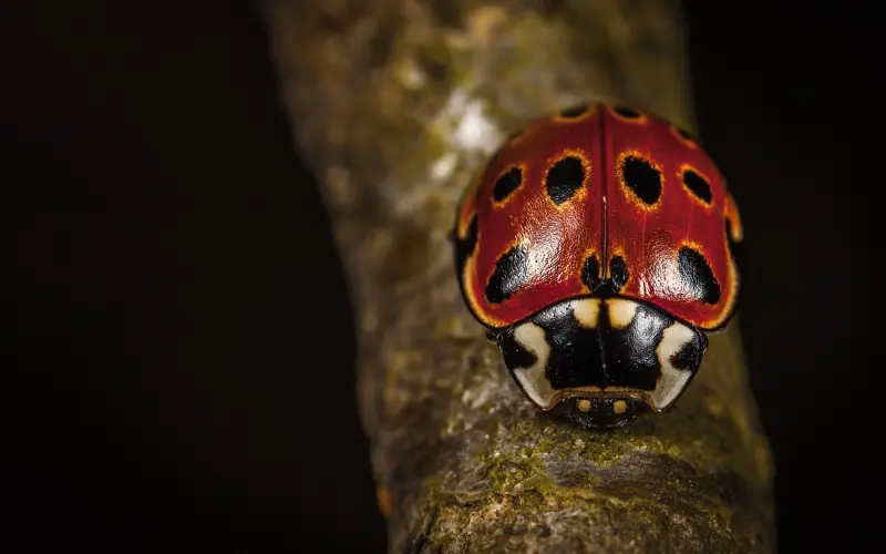 做到其中一步挽回进步一大步