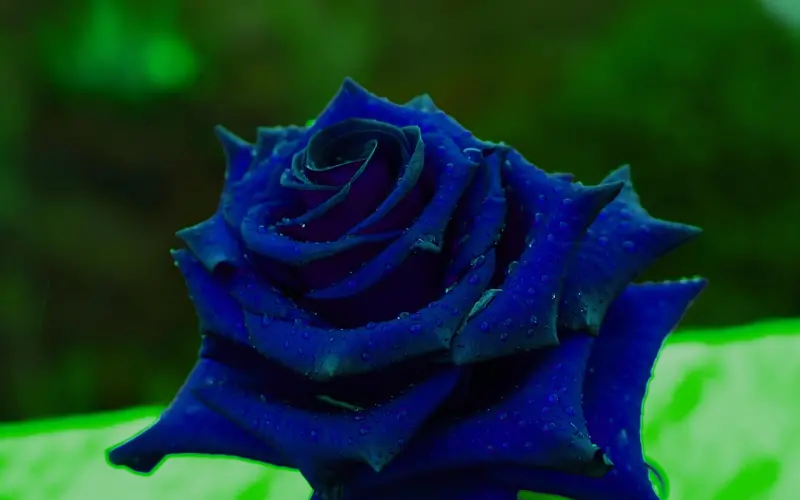 聊出“感觉”（撩湿），她才会对你“有感觉”