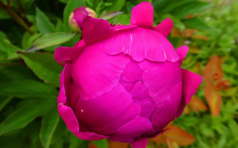 心烦心累的心情说说，一句就让人心碎！