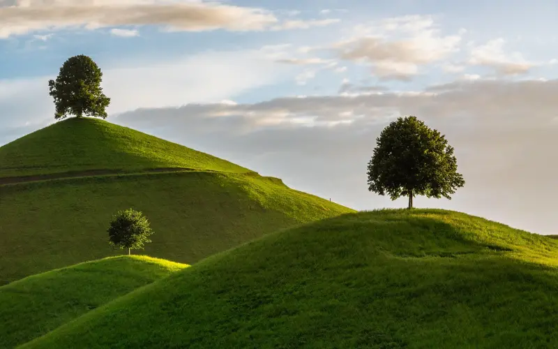 道与德，男神精神的文化根基！