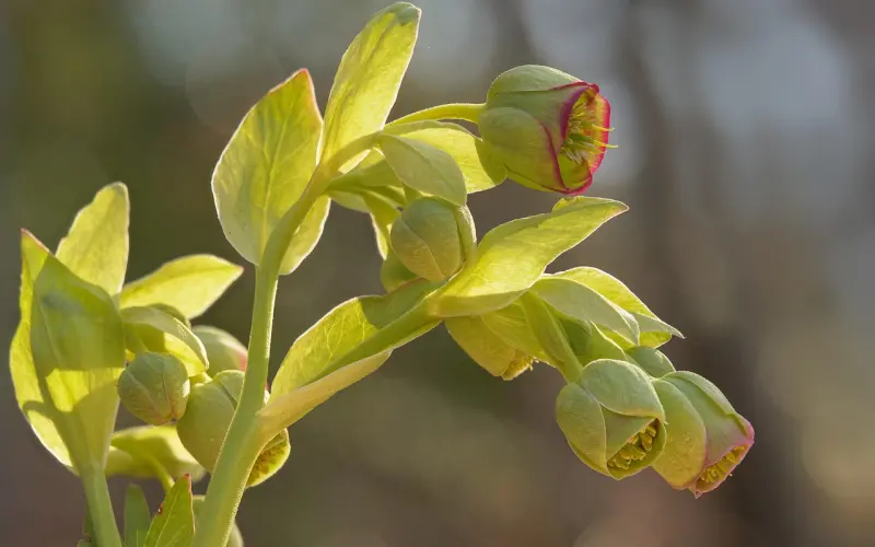 教你有效挽回婚姻的方法，用正确的方法一步步挽回，早学早挽回