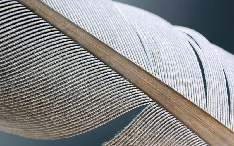 教你邀约女生出去？这4点必须注意！