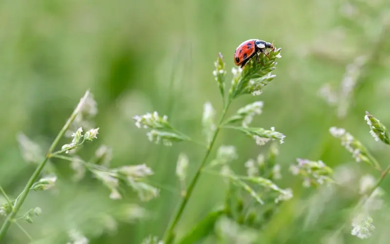 教你正确展示优点，让女生疯狂倒追